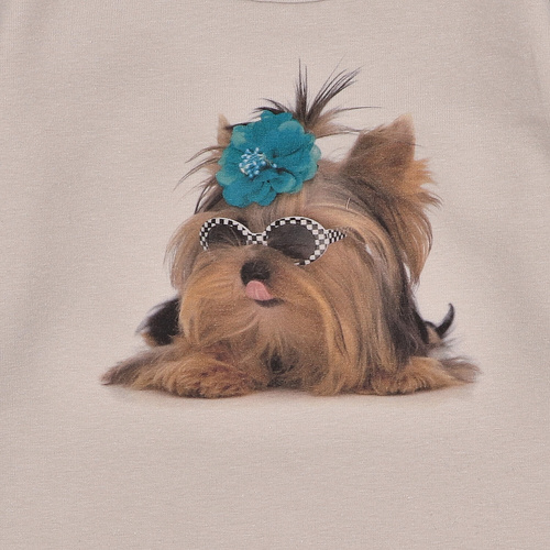 KAR-3004 Camicetta a maniche lunghe da bambina Lagarto Verde beige - elegante, cotone, produzione polacca