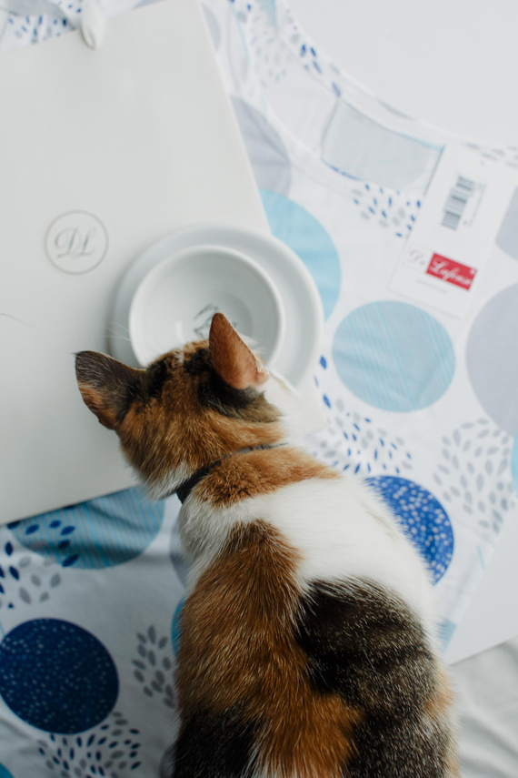 860 Camicia da notte Amelia De Lafense - manica corta, morbida viscosa - turchese