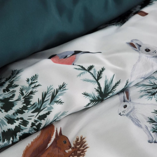 Roland Natale biancheria da letto in microfibra Eurofirany - verde decorato con una stampa affascinante