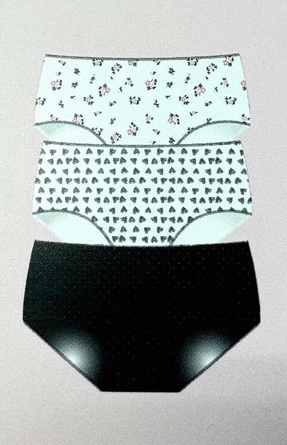 Mutandine essenziali 3488 Midi 2H100 A'3 Cotonella