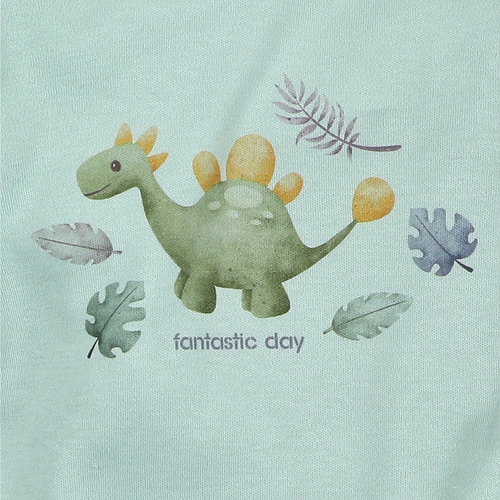 ABN-5566 Corpo Dino Explorer in cotone organico Nini menta in cotone organico, manica lunga