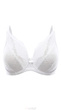 Reggiseno.