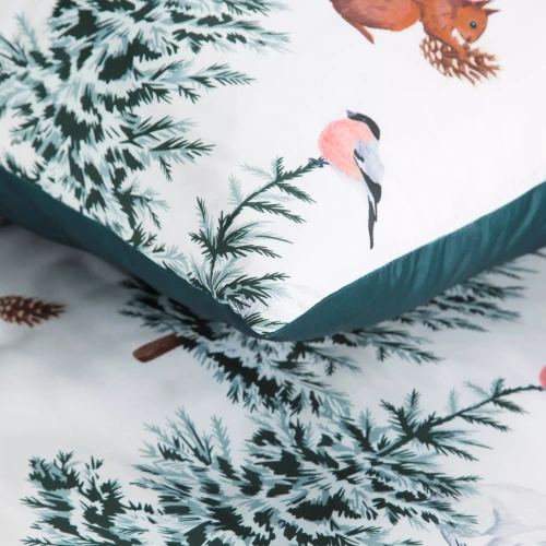 Roland Natale biancheria da letto in microfibra Eurofirany - verde decorato con una stampa affascinante