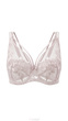 Reggiseno.