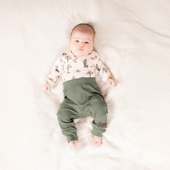 218094 Body da bambino dell'Orso Yogi Nicol - cotone, manica lunga, fantasia foresta