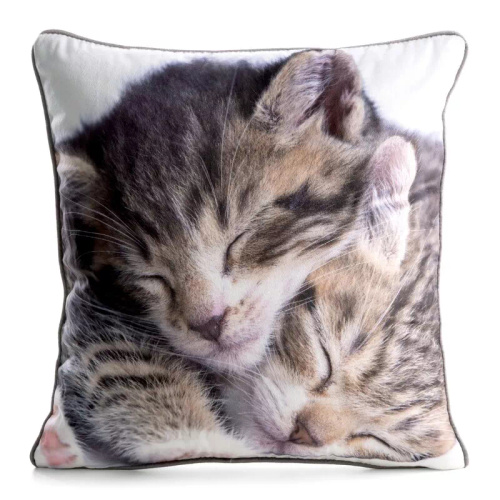 Copricuscino Animal 45x45 velluto Eurofirany con zip cat 