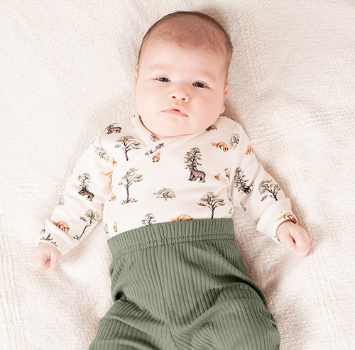 218094 Body da bambino dell'Orso Yogi Nicol - cotone, manica lunga, fantasia foresta