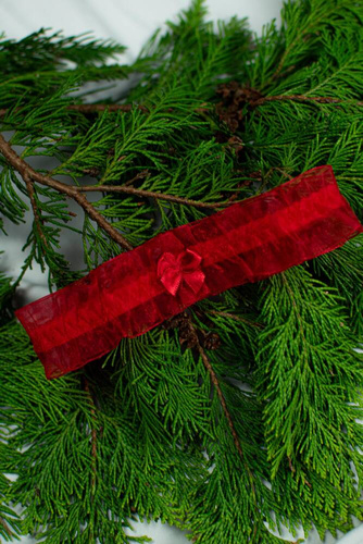 221 De Lafense giarrettiera in chiffon - rosso