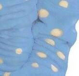 998 Accappatoio per bambini Bowtie Forex - blu