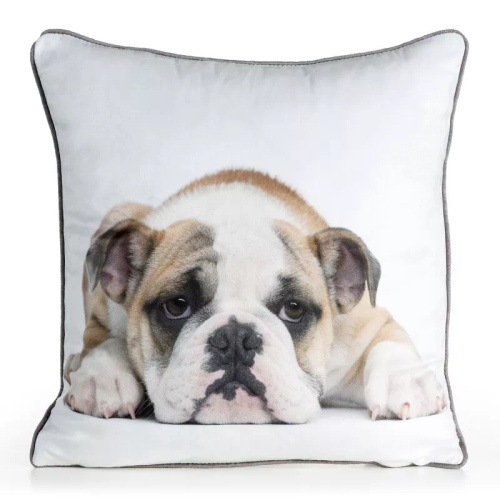 Copricuscino Animal 45x45 velluto Eurofirany con zip buldog