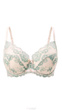 Reggiseno.