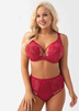 Reggiseno.