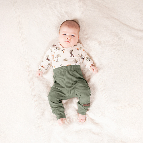 218094 Body da bambino dell'Orso Yogi Nicol - cotone, manica lunga, fantasia foresta