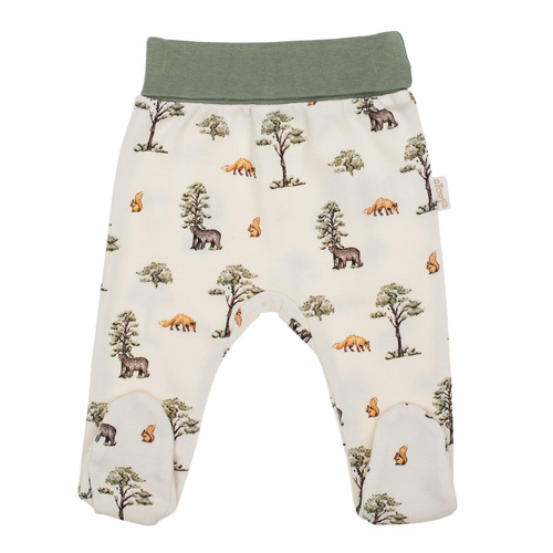 218009 Mezza nanna in cotone dell'Orso Yogi Nicol - motivo foresta