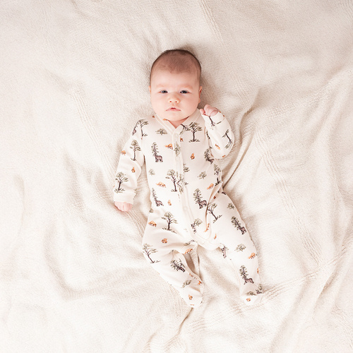 218031 Pigiama in cotone dell'Orso Yogi Nicol - fantasia foresta, manica lunga